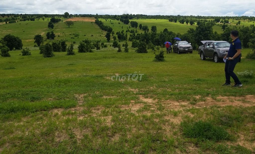 4347500 ảnh đại diện 1