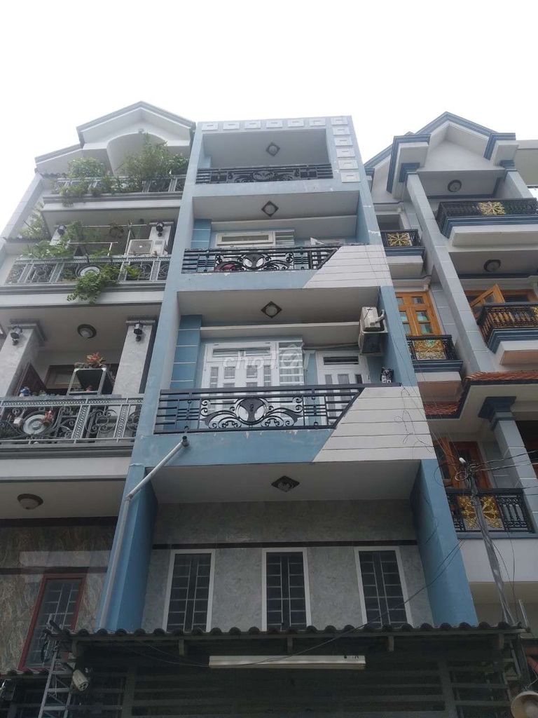 4344052 ảnh đại diện 1