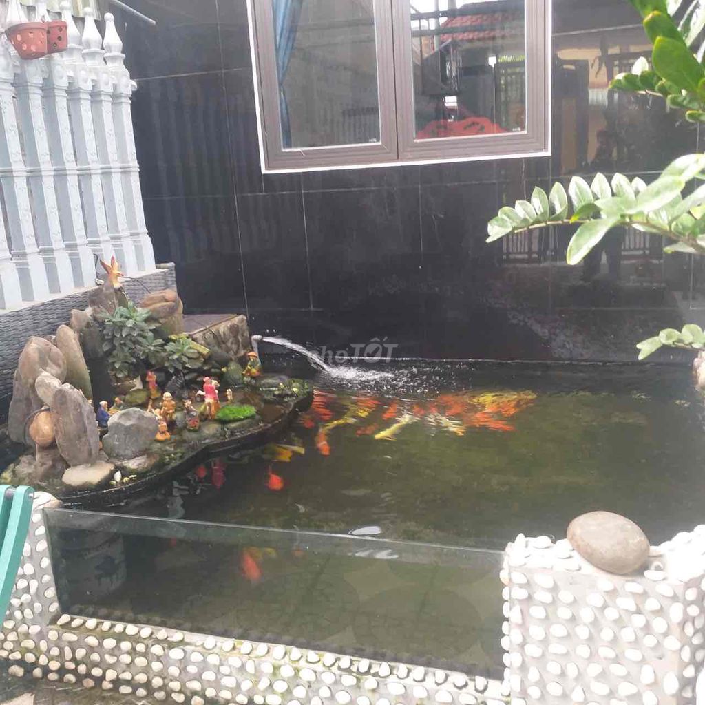 4342146 ảnh đại diện 1