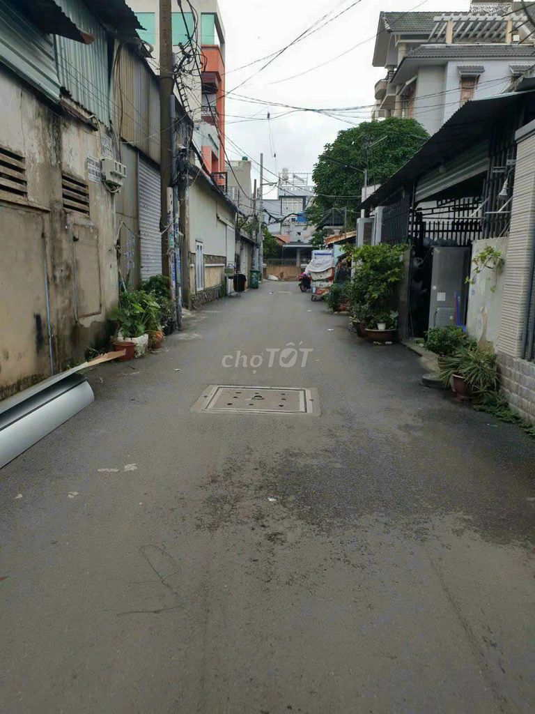 4344297 ảnh đại diện 2