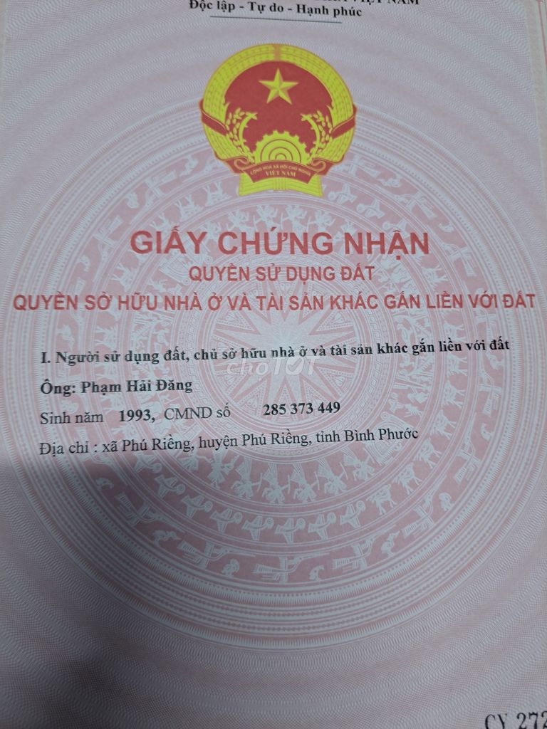 4347244 ảnh đại diện 2