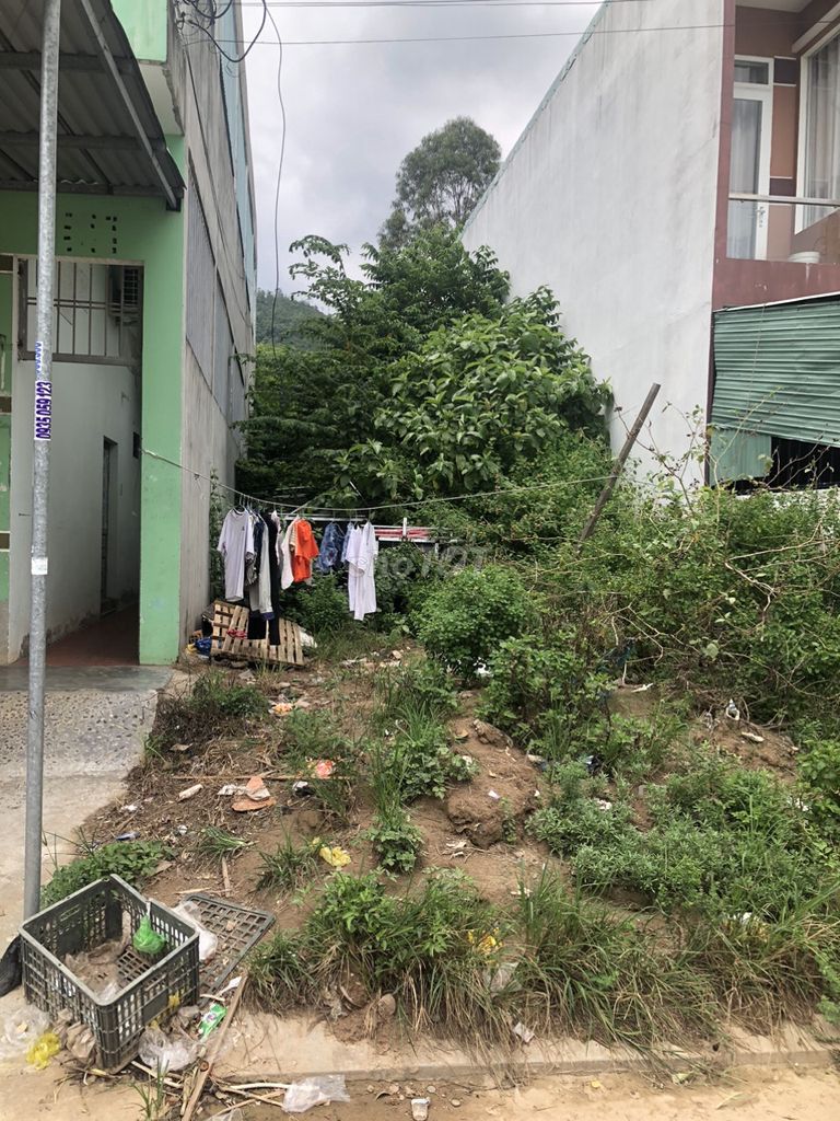 4341822 ảnh đại diện 2