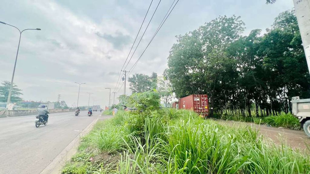 4341340 ảnh đại diện 1