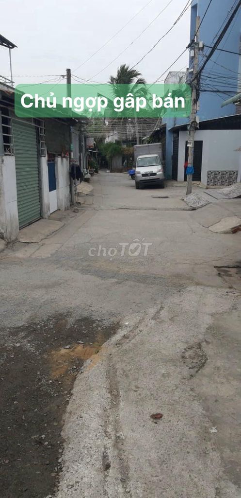4347384 ảnh đại diện 1