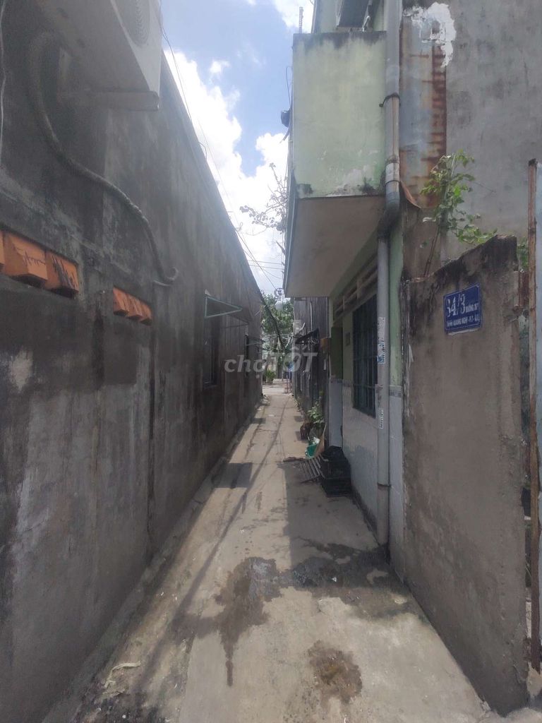 4342329 ảnh đại diện 2