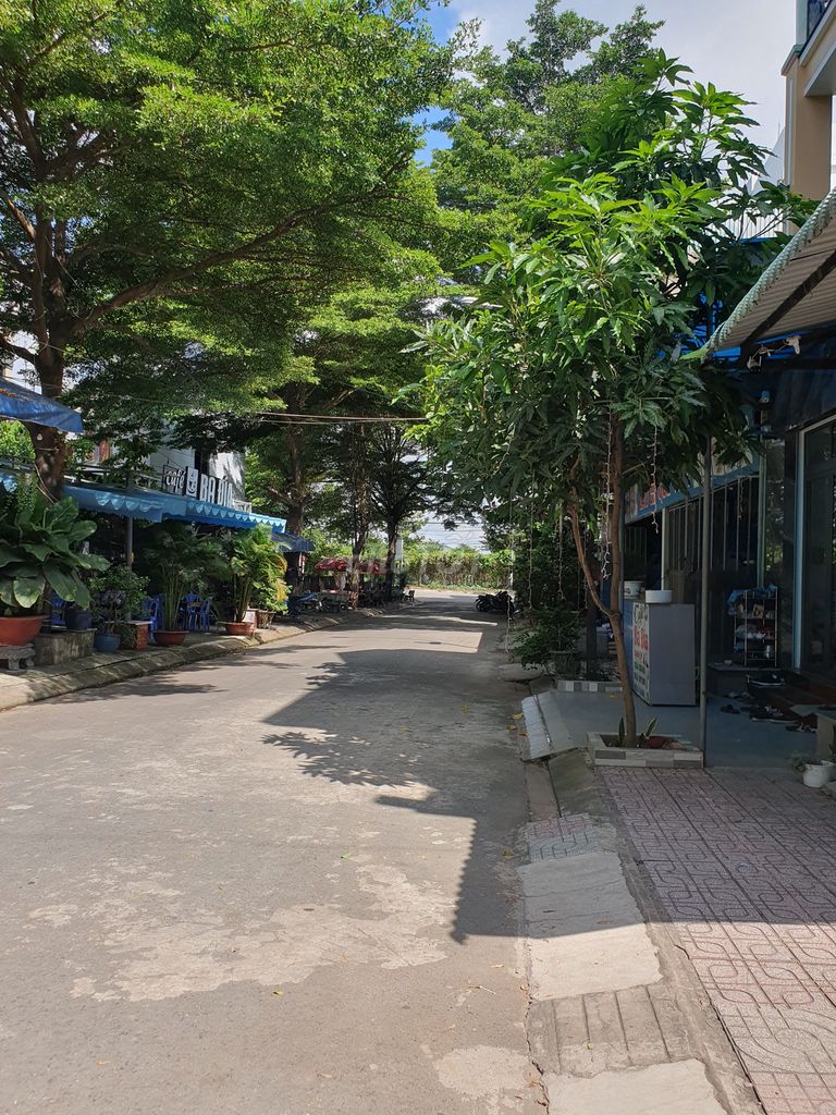 4342481 ảnh đại diện 1