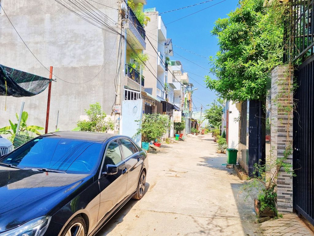 4344161 ảnh đại diện 2