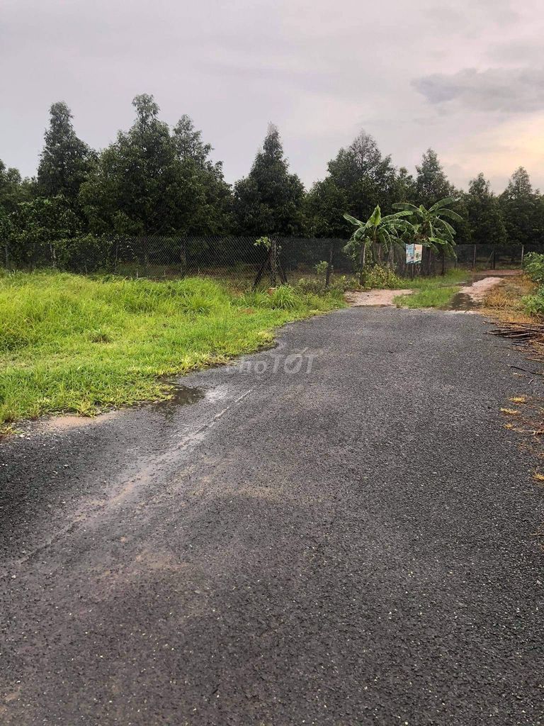 4344092 ảnh đại diện 2