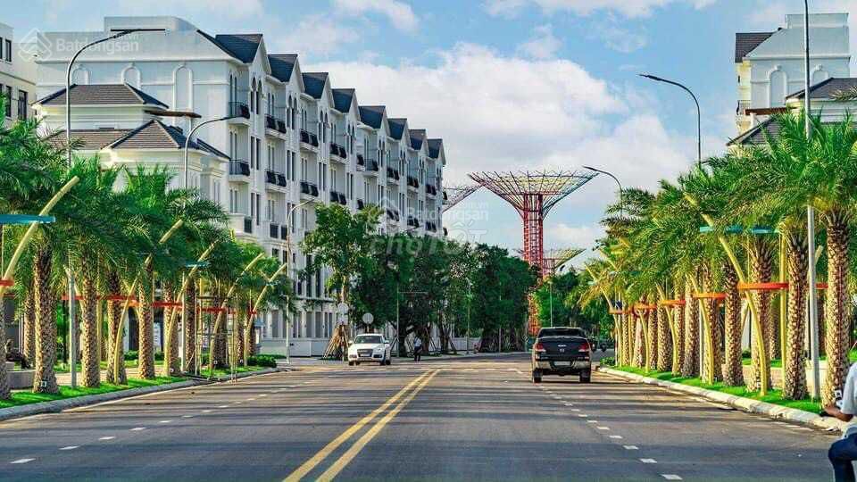 4344341 ảnh đại diện 2