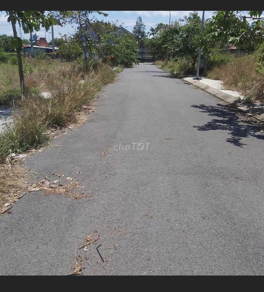 4347487 ảnh đại diện 2