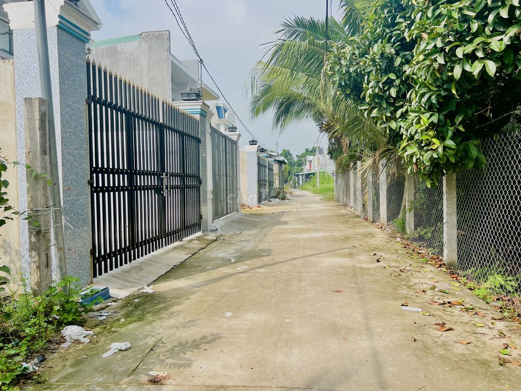 4341531 ảnh đại diện 1