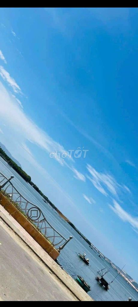 4343678 ảnh đại diện 1