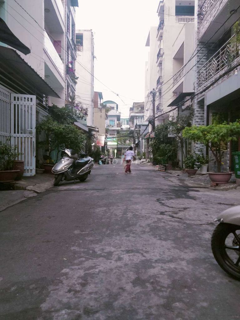4346494 ảnh đại diện 2