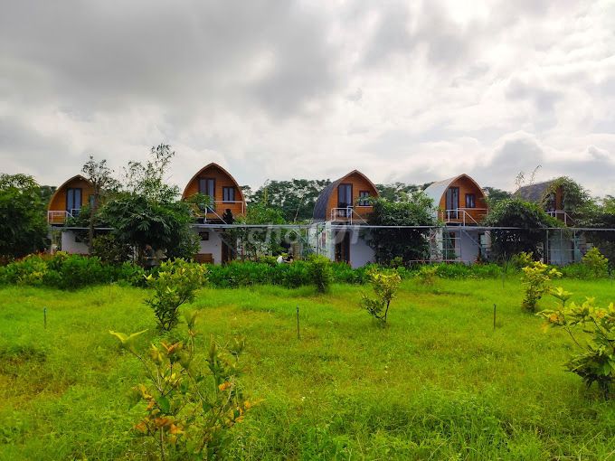 4346486 ảnh đại diện 1
