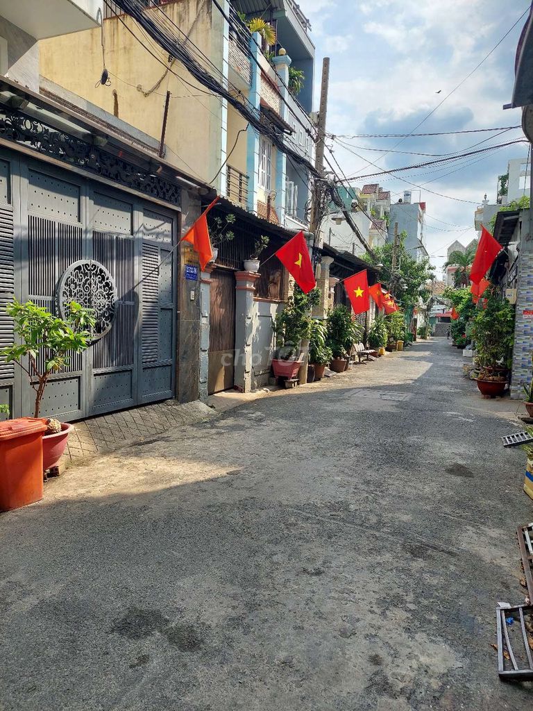 4343484 ảnh đại diện 2