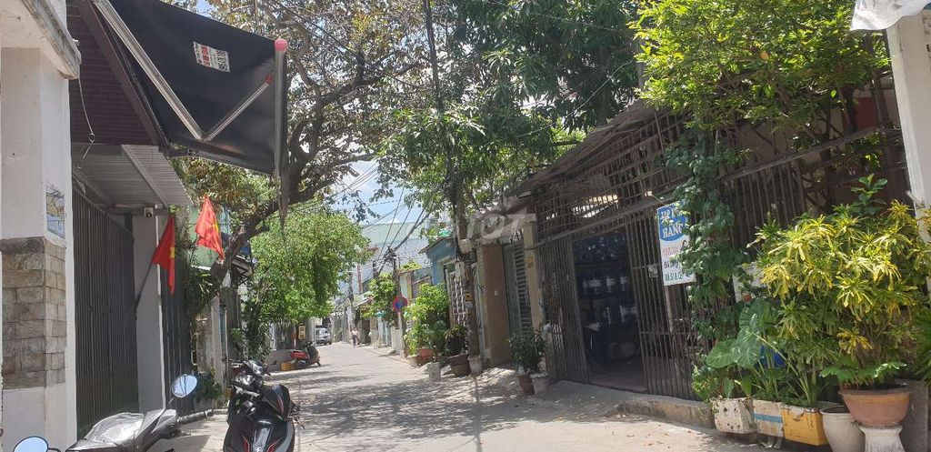 4346640 ảnh đại diện 1
