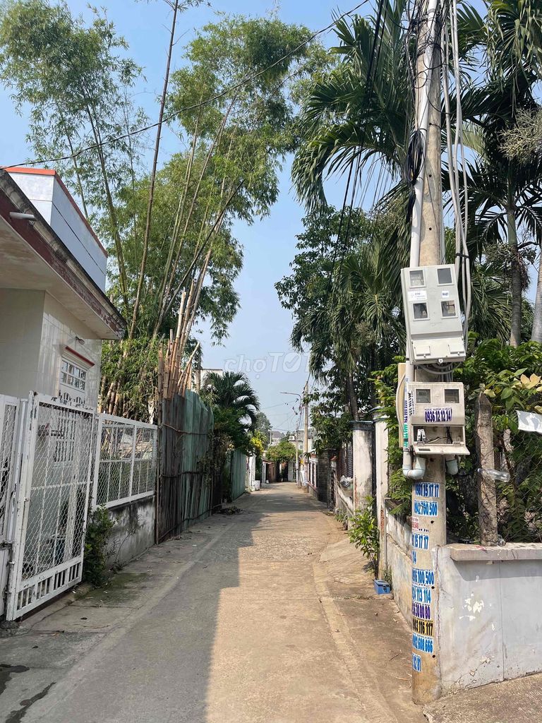 4341467 ảnh đại diện 2