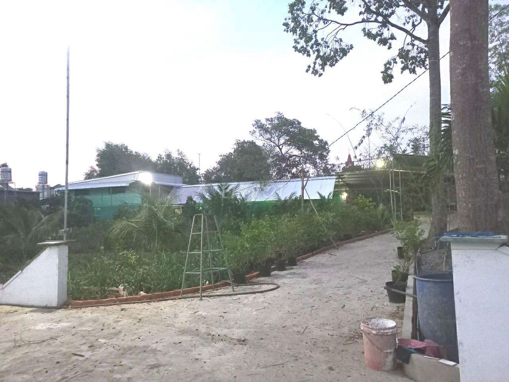 4343457 ảnh đại diện 2