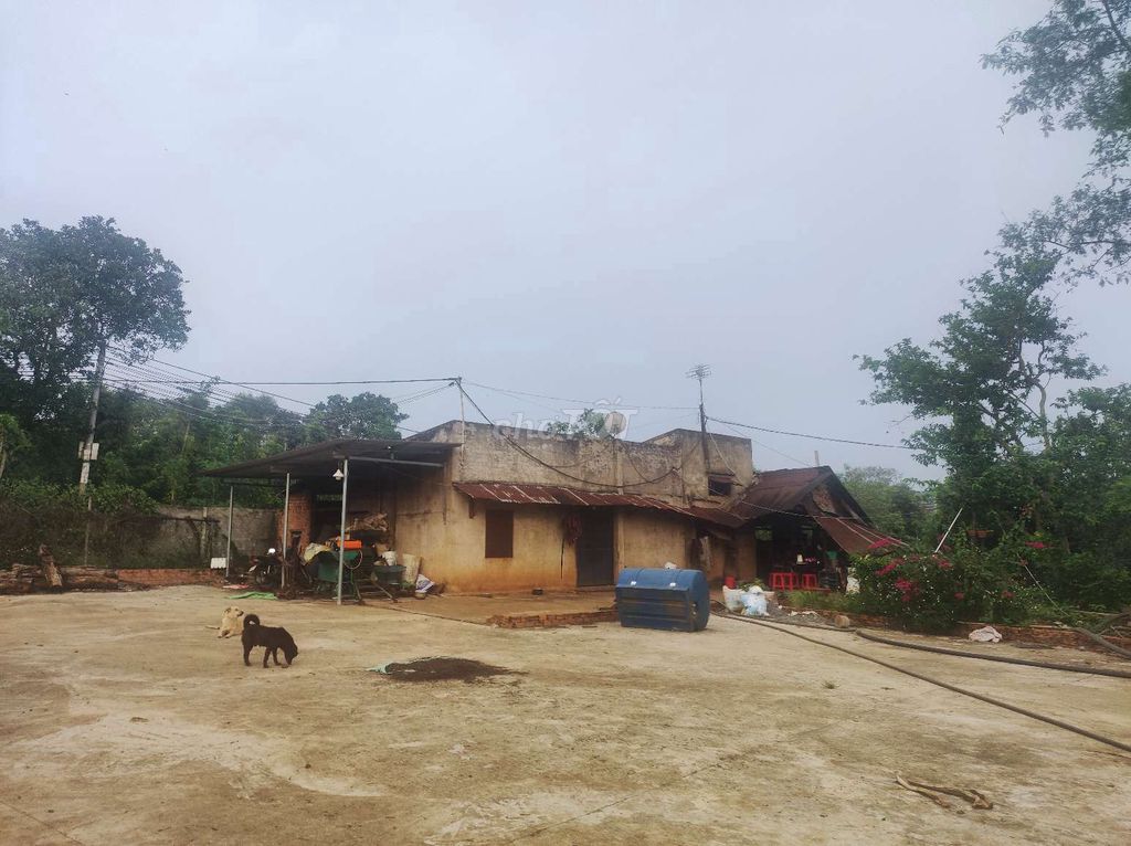 4341279 ảnh đại diện 2