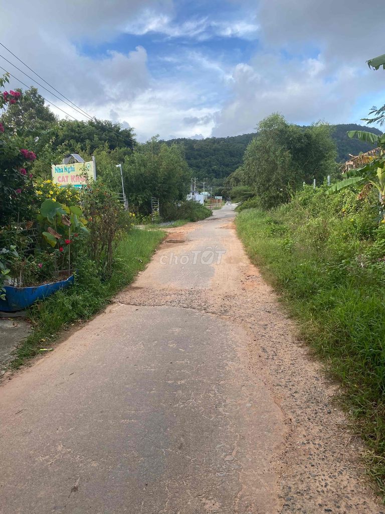 4342657 ảnh đại diện 1