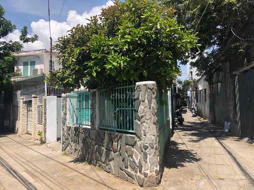 4343940 ảnh đại diện 1