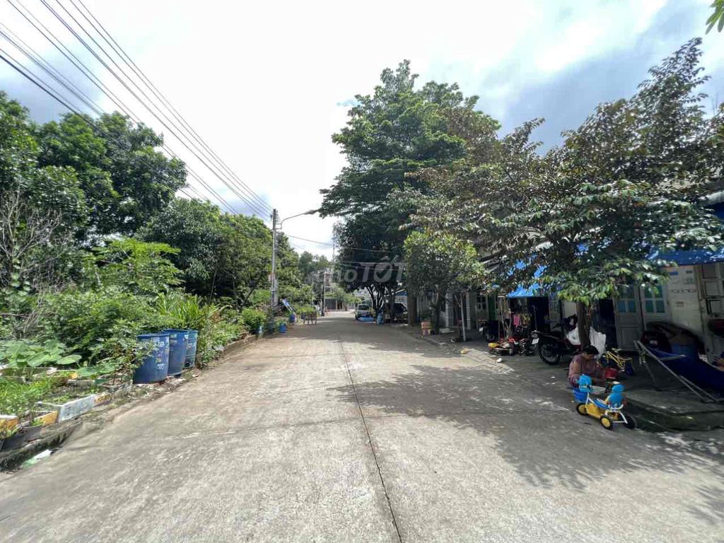 4345704 ảnh đại diện 2