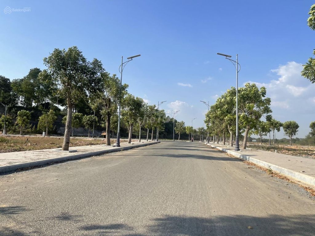 4347377 ảnh đại diện 1