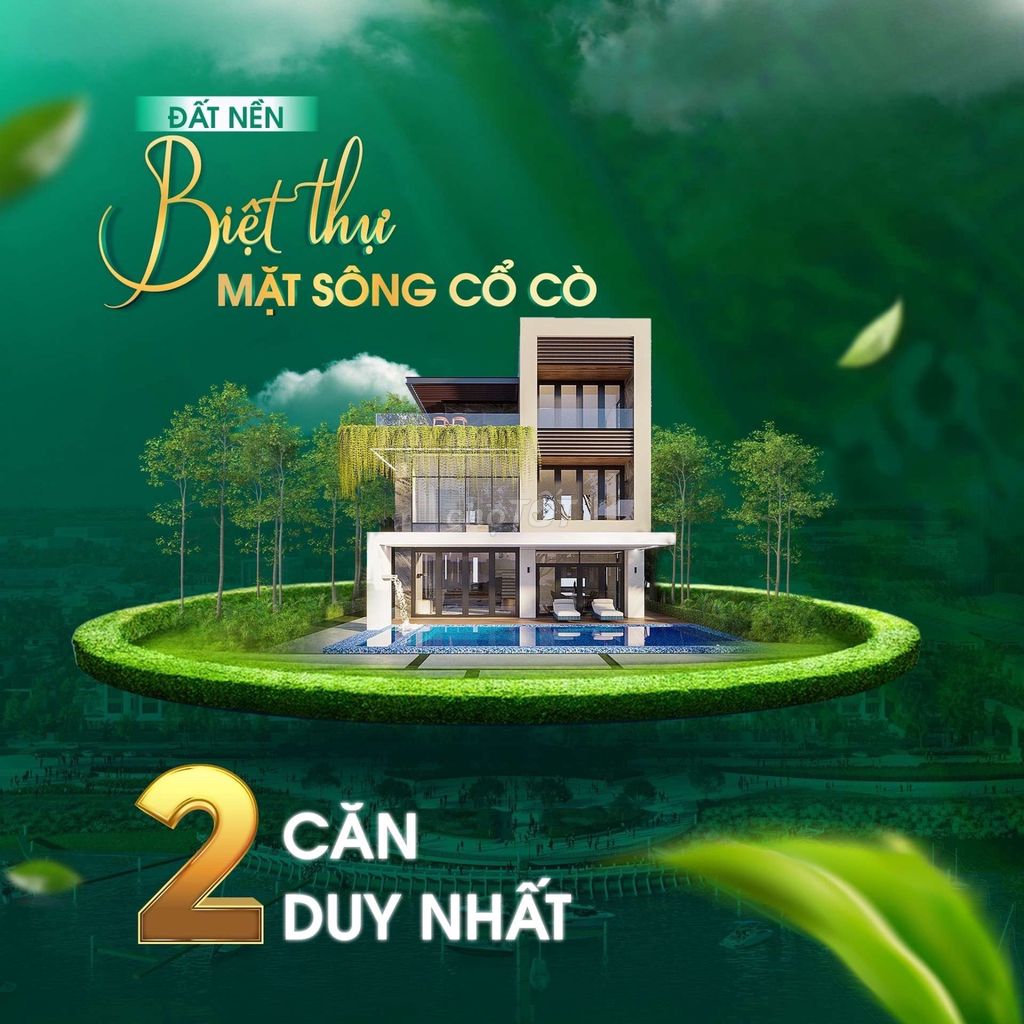 4347551 ảnh đại diện 1
