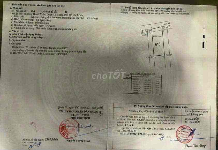 4341175 ảnh đại diện 2