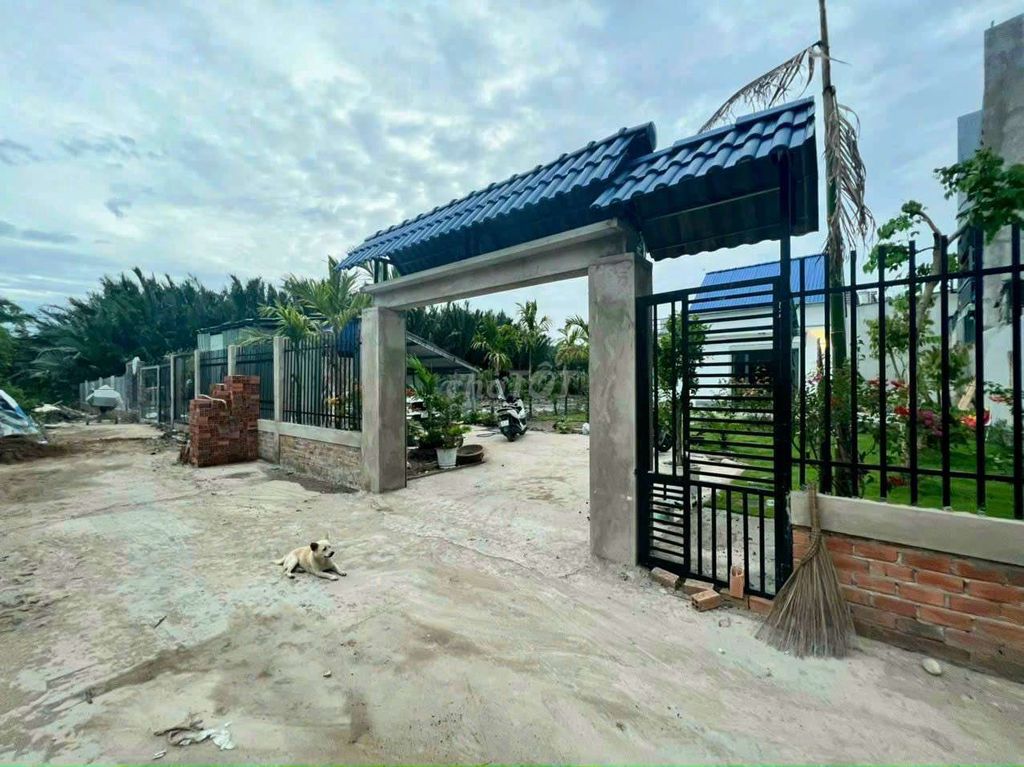 4343479 ảnh đại diện 1