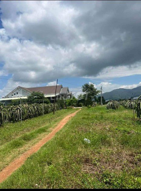 4347510 ảnh đại diện 2