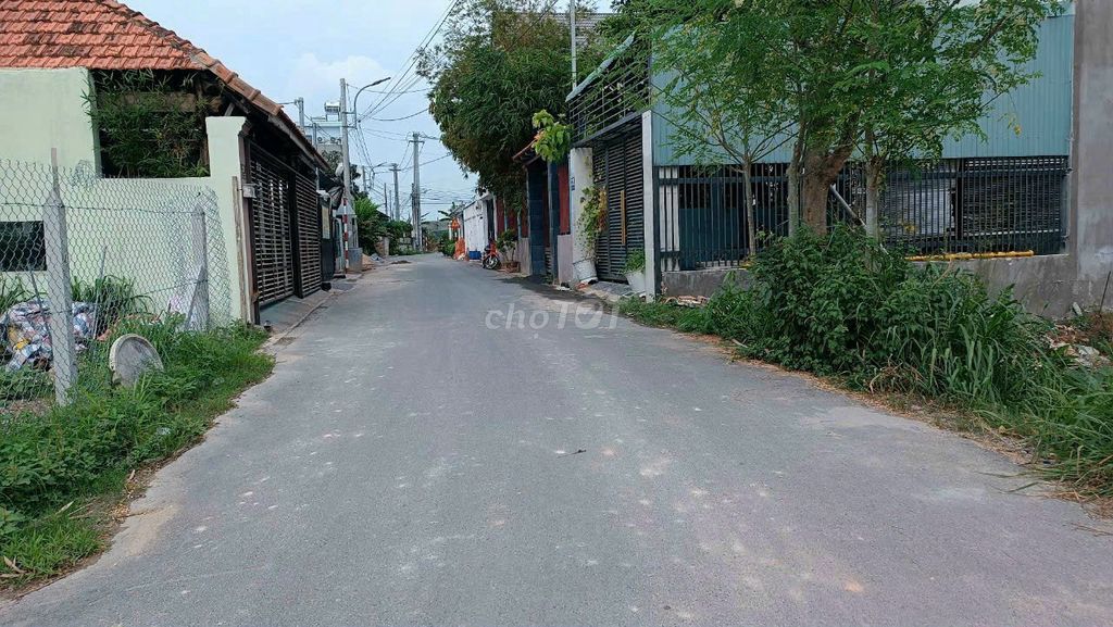 4344109 ảnh đại diện 1
