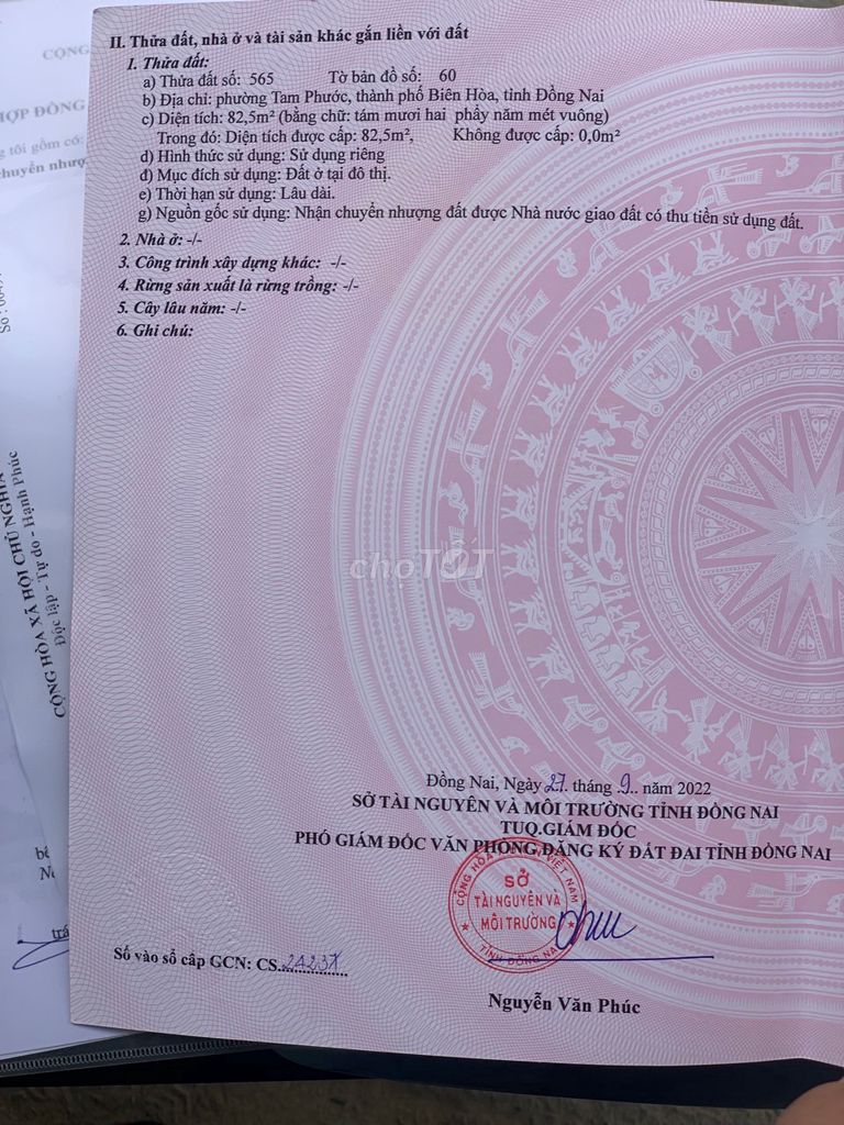 4342131 ảnh đại diện 2