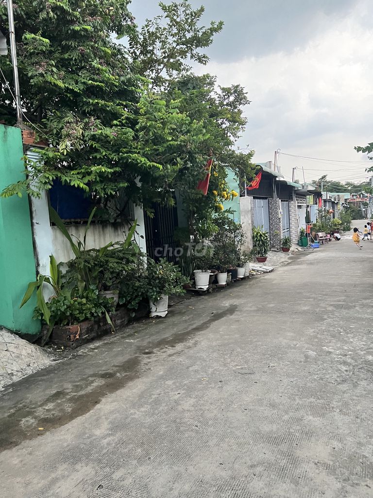 4344252 ảnh đại diện 1