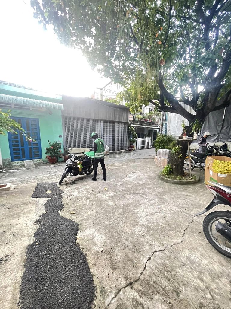 4347165 ảnh đại diện 1