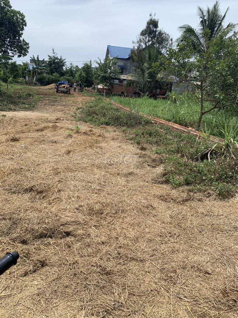 4346361 ảnh đại diện 2