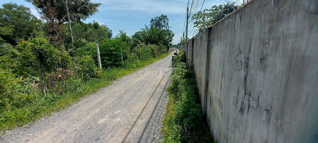 4341972 ảnh đại diện 1