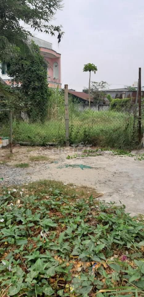 4347384 ảnh đại diện 2