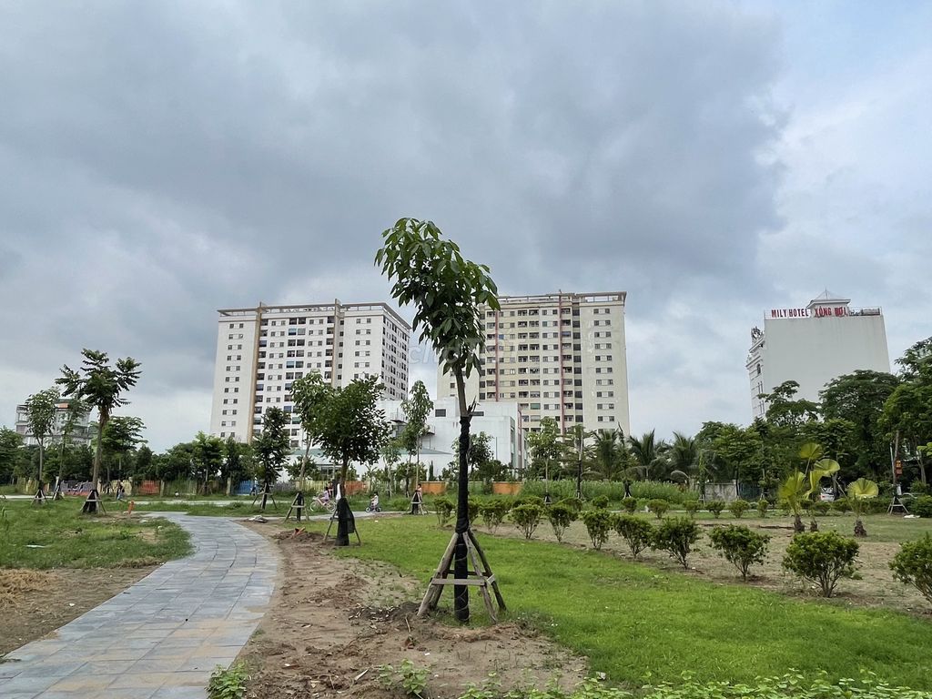 4340440 ảnh đại diện 2