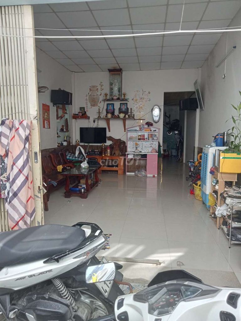 4343799 ảnh đại diện 1