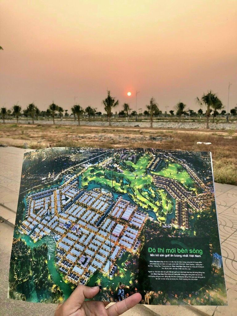 4347378 ảnh đại diện 1