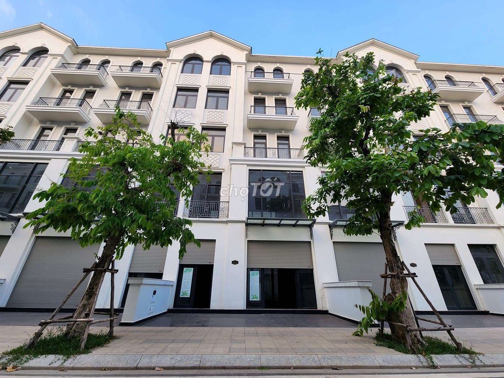 4344341 ảnh đại diện 1