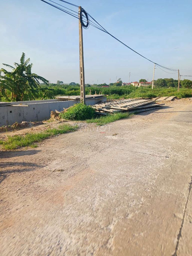 4343384 ảnh đại diện 1