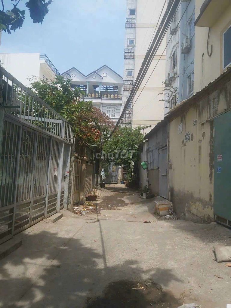 4342109 ảnh đại diện 2