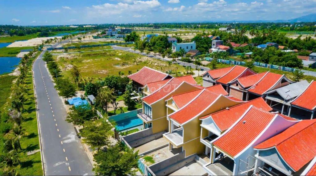 4341795 ảnh đại diện 1