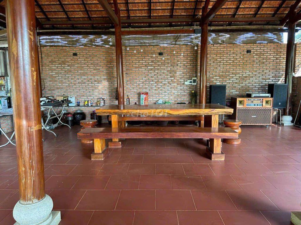 4341590 ảnh đại diện 1