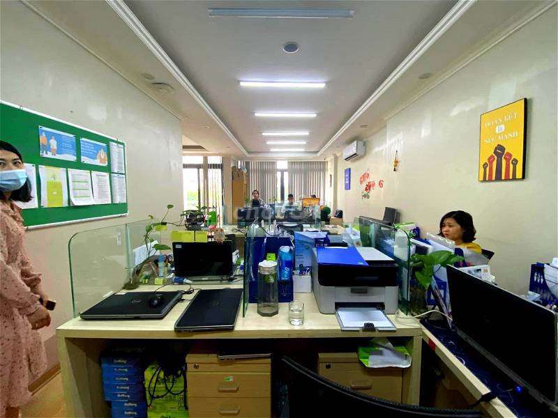 4345768 ảnh đại diện 2