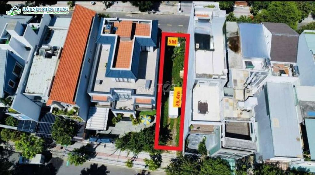 4347249 ảnh đại diện 1
