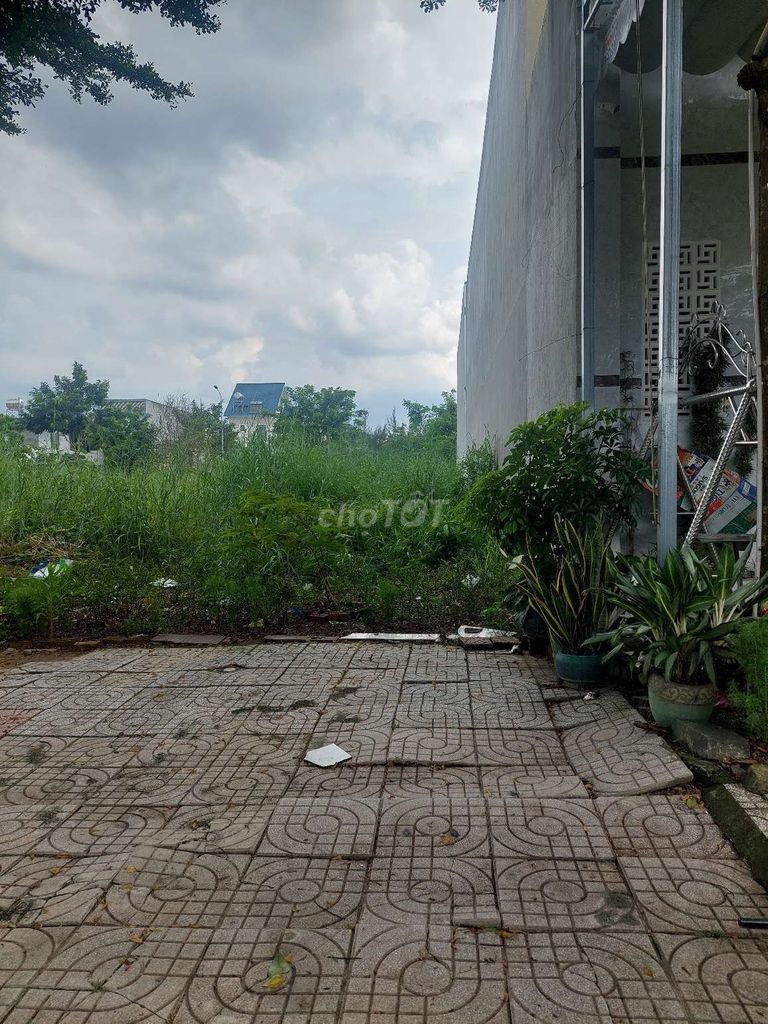 4342982 ảnh đại diện 1