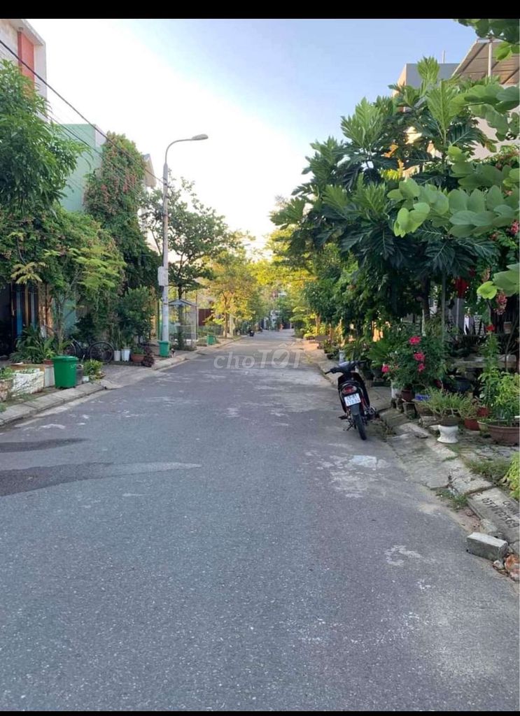 4343064 ảnh đại diện 2